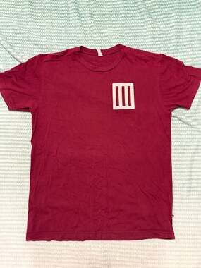 Paramore I'm In All The Echoes That Have Faded Out Burgundy Band T-Shirt